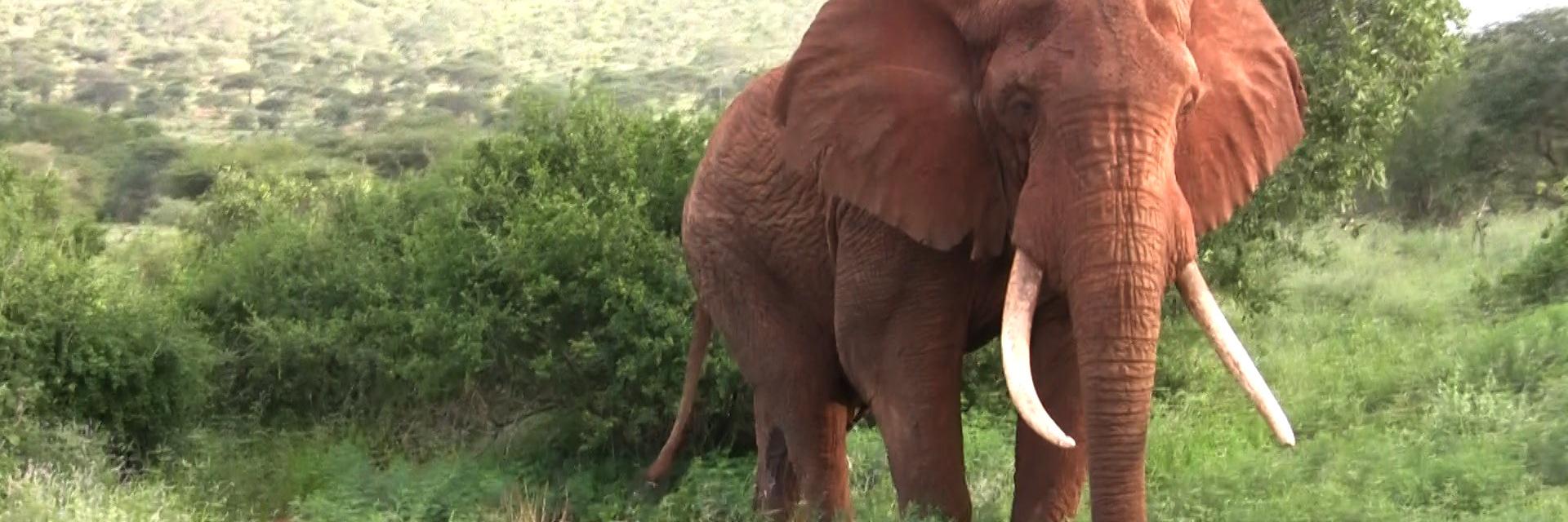 SamiullahNKhan's profile banner image