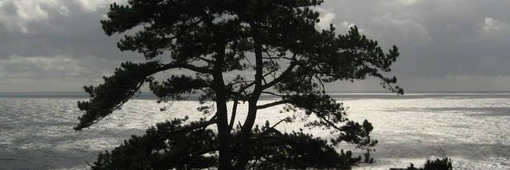 Ifeh_Unique's profile banner image