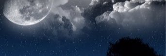 RonnieTang00's profile banner image