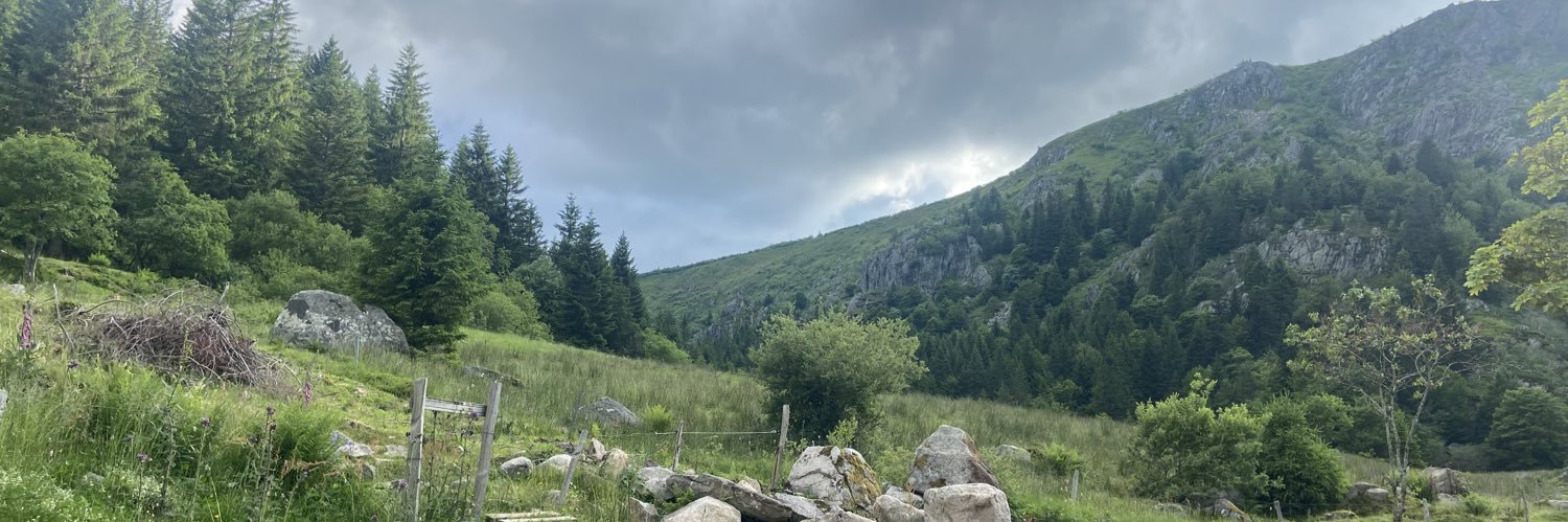 Hannah Mathis  banner