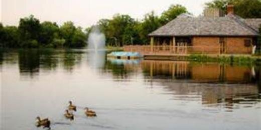 Chris Rothenberger banner