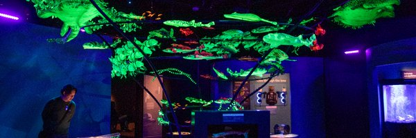FieldMuseum Profile Banner
