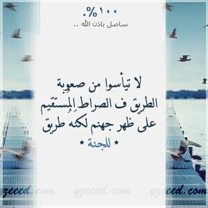 wedad_sultan's profile banner image