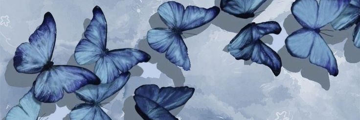 Kaylee banner