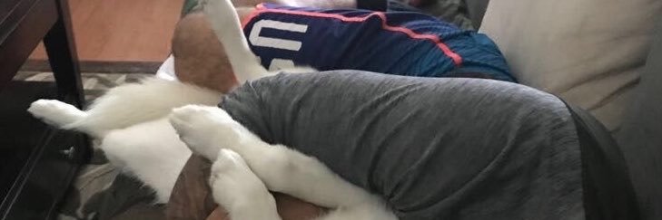 ChukyColoon's profile banner image