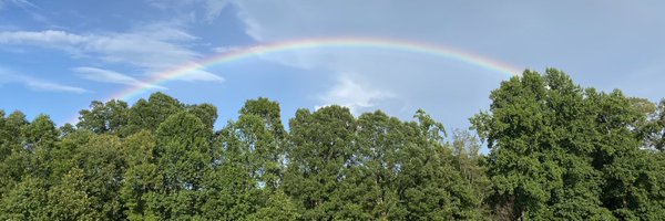 M_clementson Profile Banner