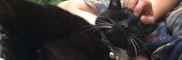 Strax The Cat Profile Banner