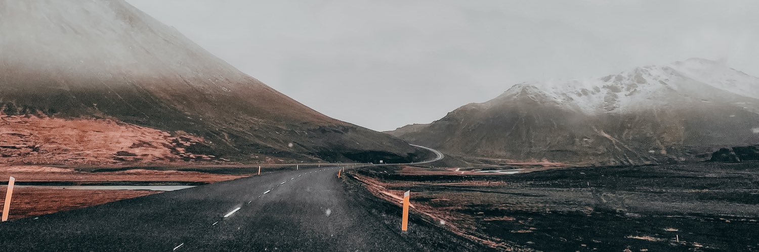 Larissa 🕷️ banner