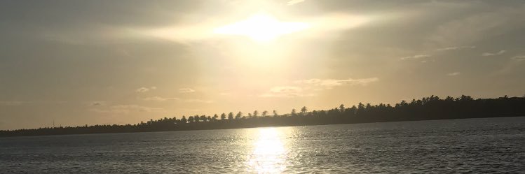 fstenorio1's profile banner image
