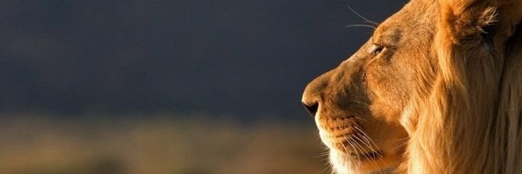 AzizzAKIN's profile banner image