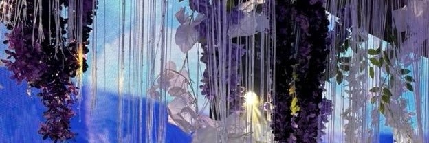 소정이. banner