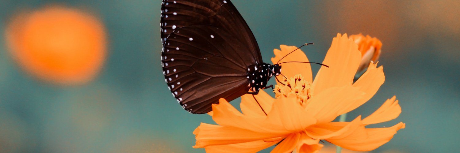 Living Future Los Angeles Collaborative banner