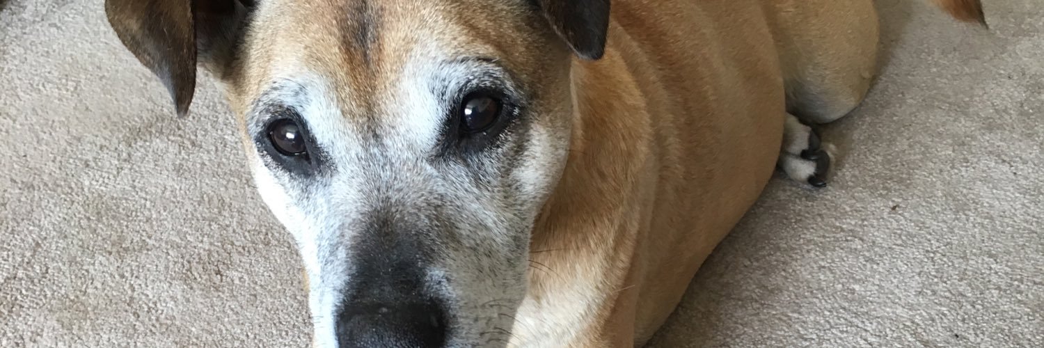 chloemariee91's profile banner image