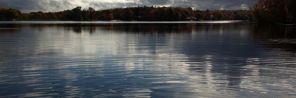 Greg Robinson banner