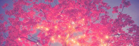 Macylorene's profile banner image