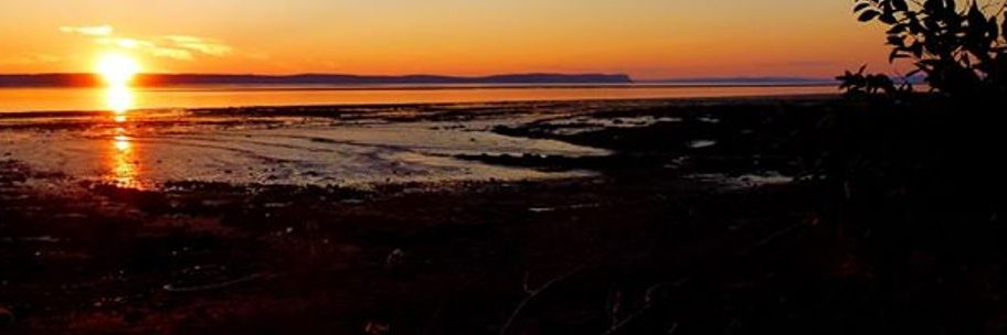 andyhorsnell's profile banner image