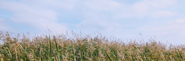 SureZher Profile Banner