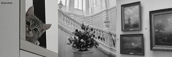 nsingning Profile Banner