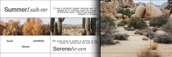 nsingning Profile Banner