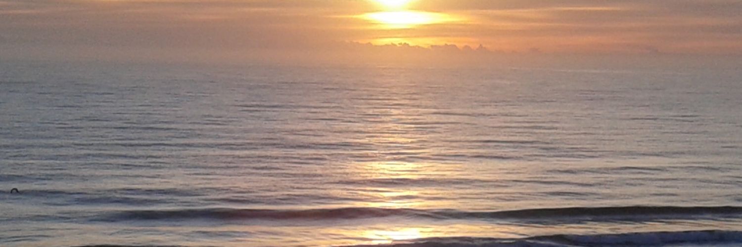 JulianneBrother's profile banner image
