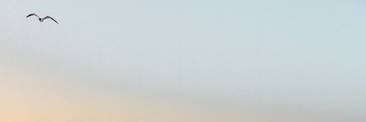 𝐑𝐚𝐡𝐚𝐟 banner