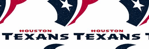 DELUSIONAL TEXANS FAN banner