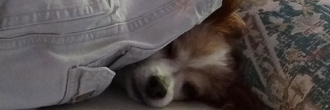 SomeonesBigSis banner