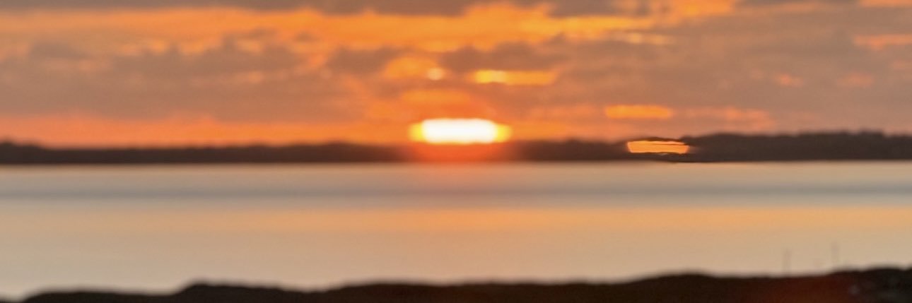 ElizabethBirdthistle banner