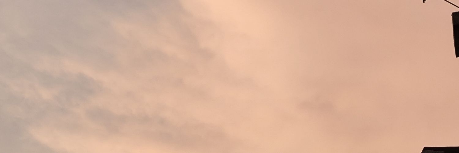 Fries🥩 banner