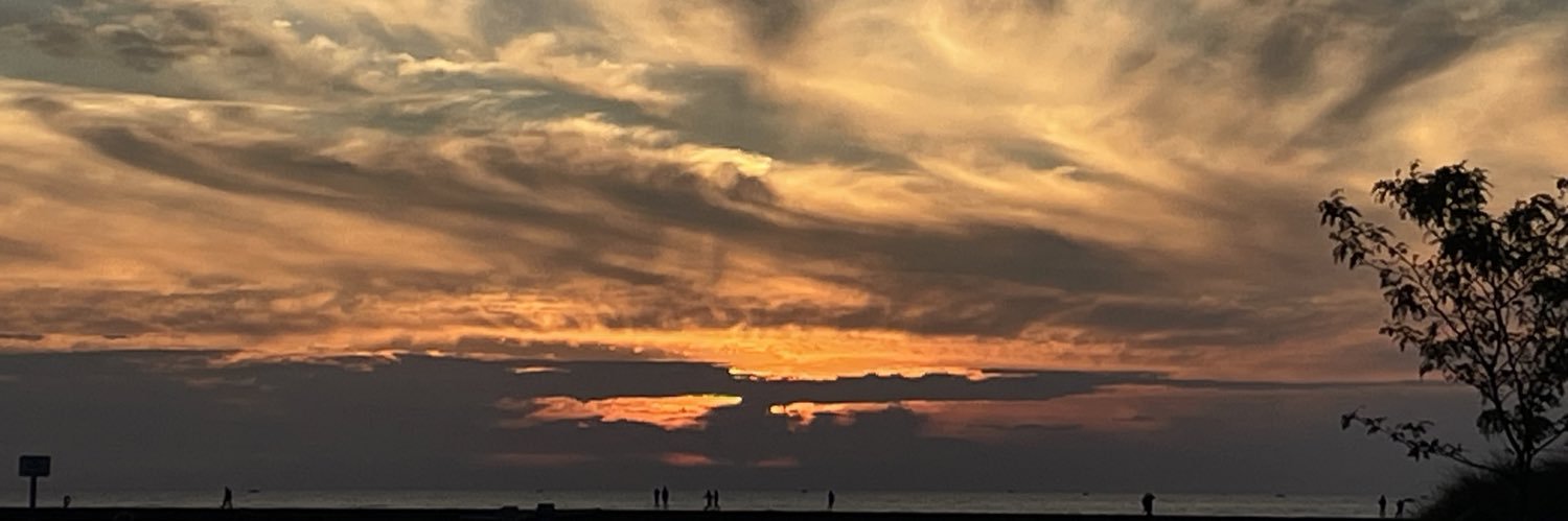 Doctor taco rules! banner