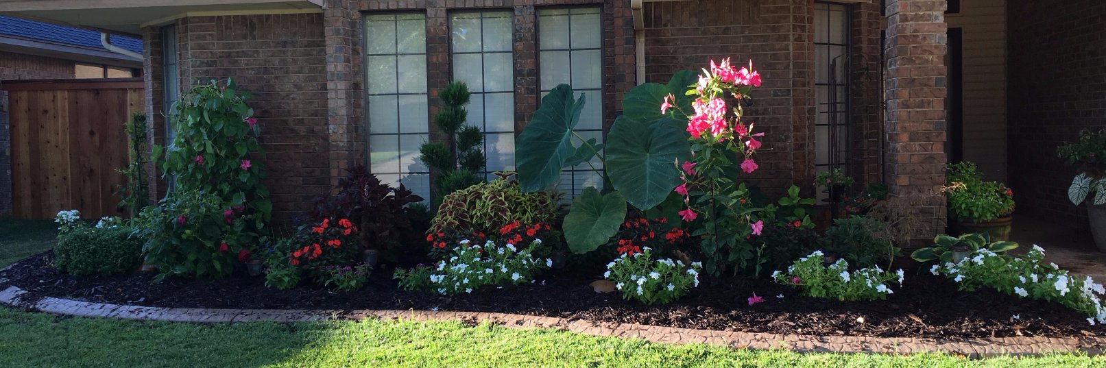 John A. Davis, Jr. banner