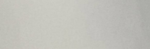 ℙ𝔼𝕋𝔼ℝ banner