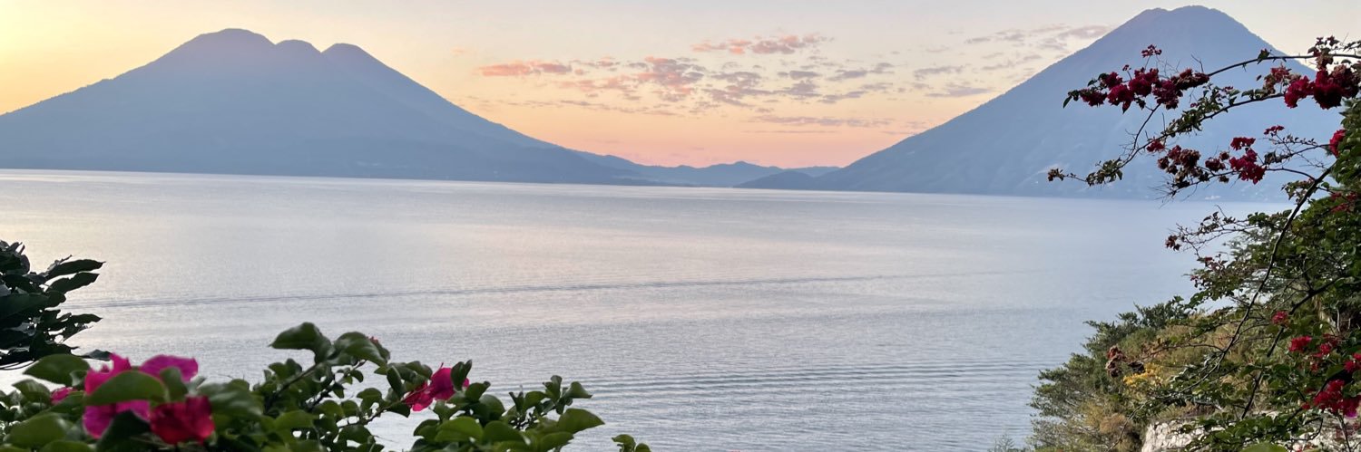 Julio Luna 🇬🇹 🇵🇸 banner