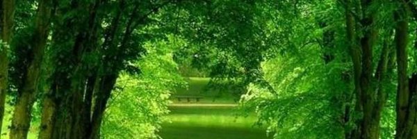 0MRK_ Profile Banner