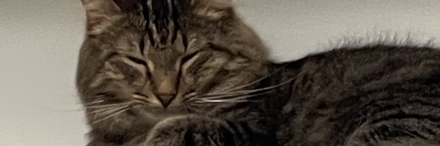 raxvyn's profile banner image