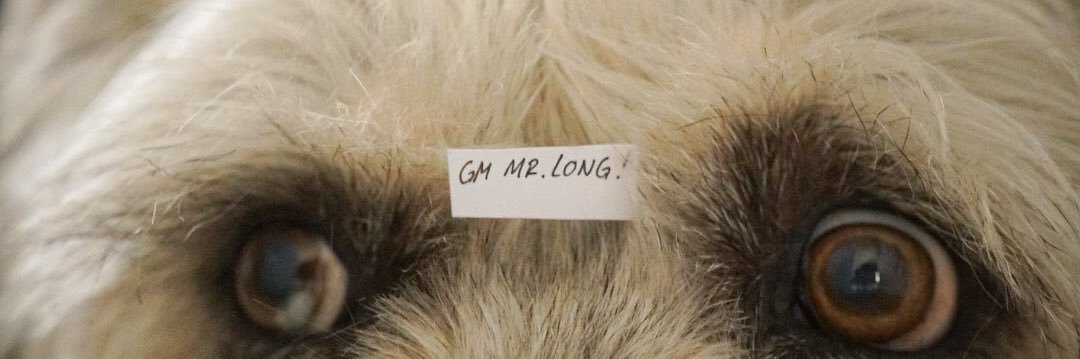 Mr70ng's profile banner image