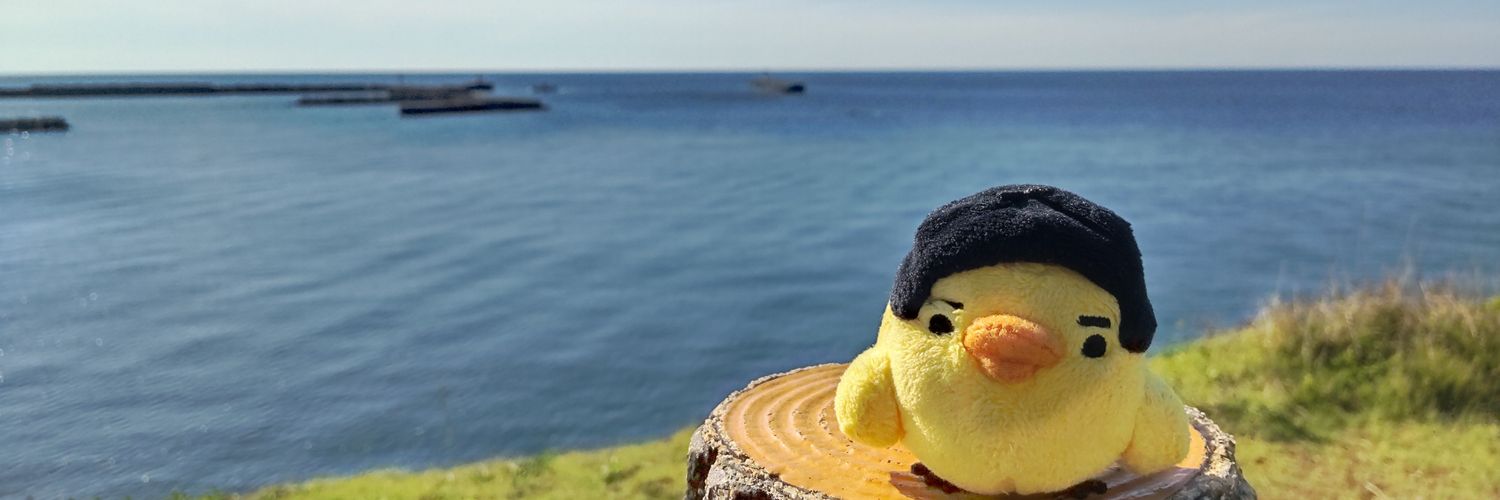 afuroo11's profile banner image