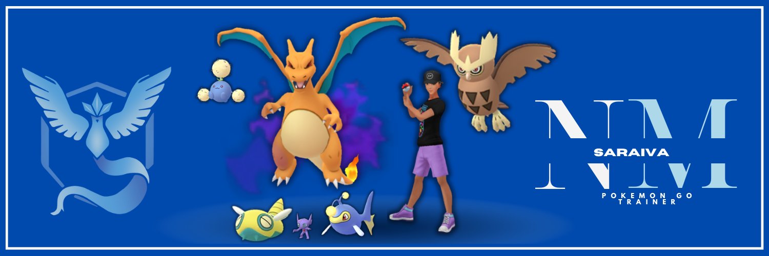 nsaraiva's profile banner image