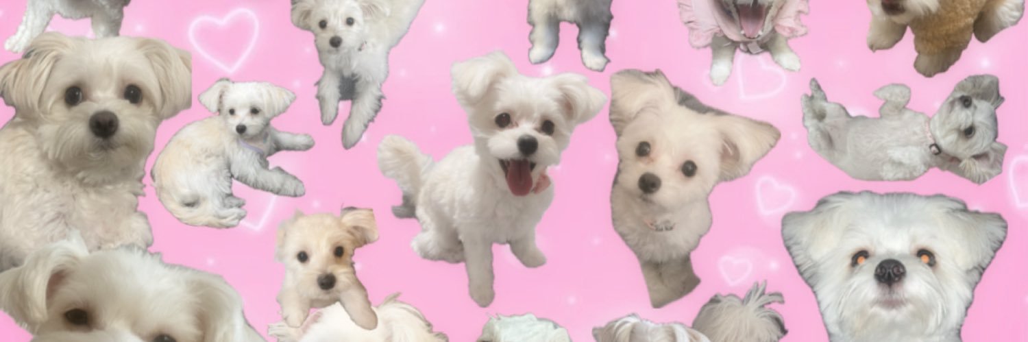 会沢 莉々 banner