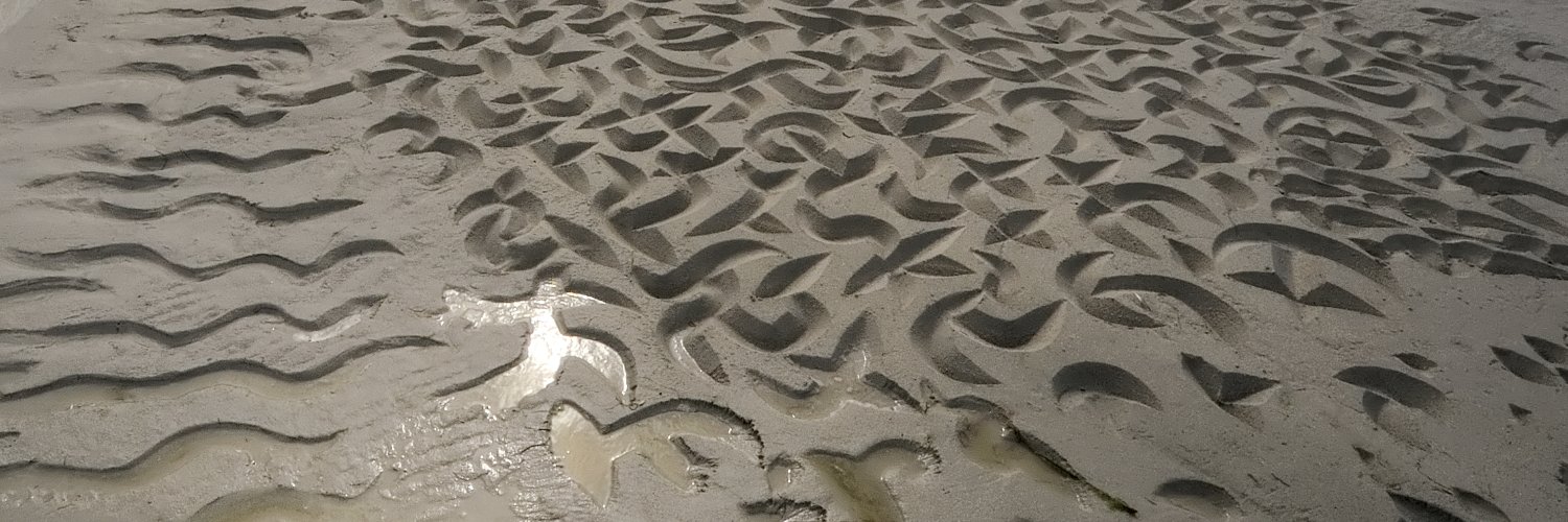 Andrew van der Merwe banner