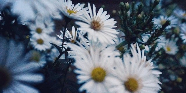 luluespitia16's profile banner image
