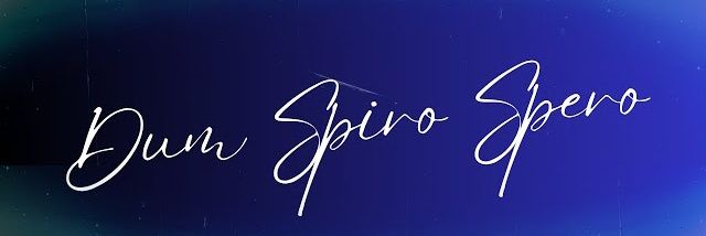 mané banner