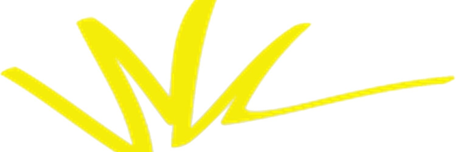 DyslexiaPros's profile banner image
