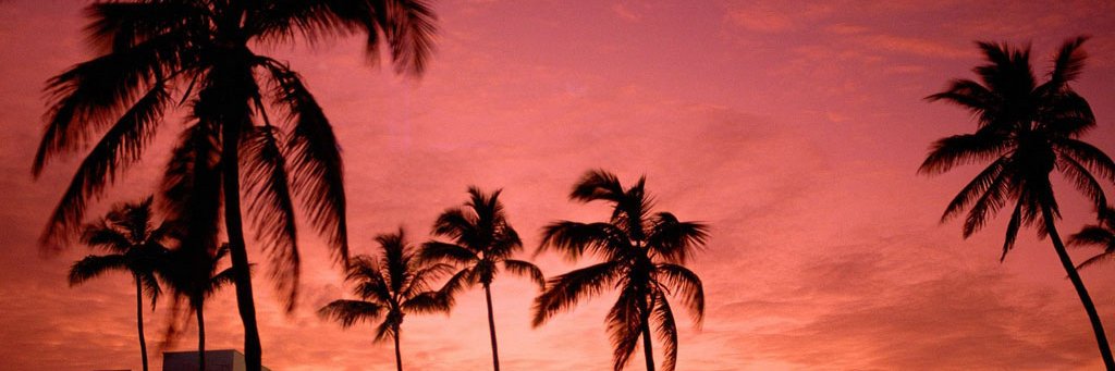 ConnieFossi's profile banner image