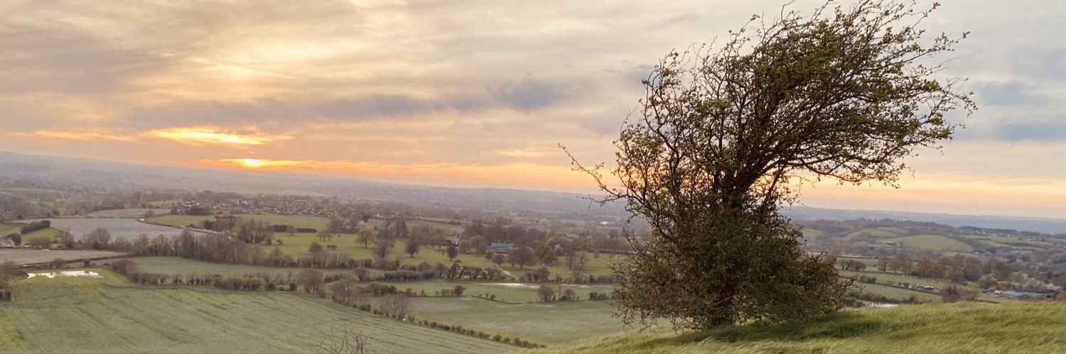 slowgazing's profile banner image