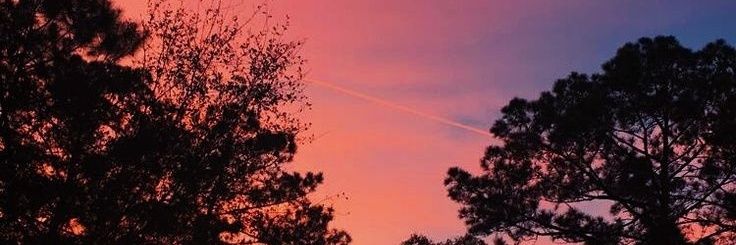 aleja__21's profile banner image