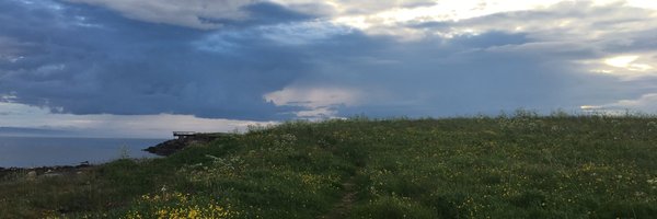 ttukiainen Profile Banner