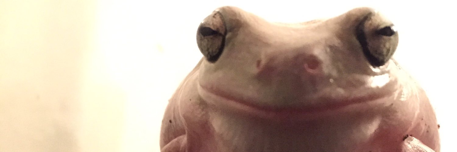 dwightismyfrog's profile banner image
