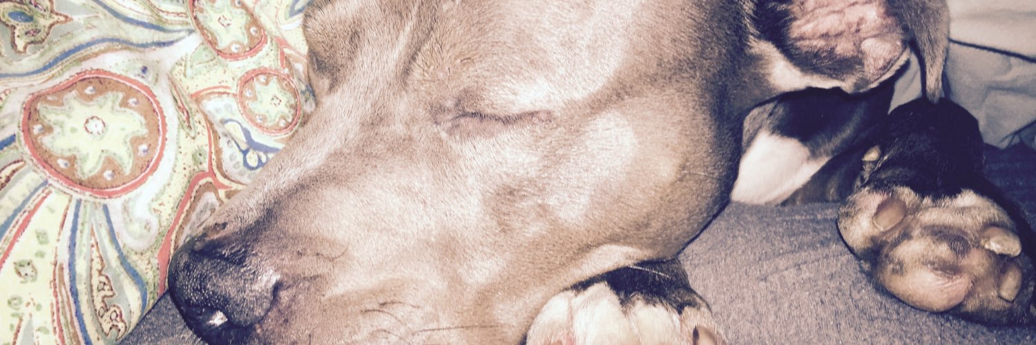 H0NEY__DEE's profile banner image