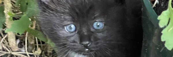 simonklyne Profile Banner